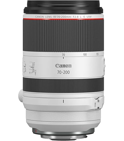 Amazon.com : Canon 300mm F2.8 L is II USM EF Lens : Camera
